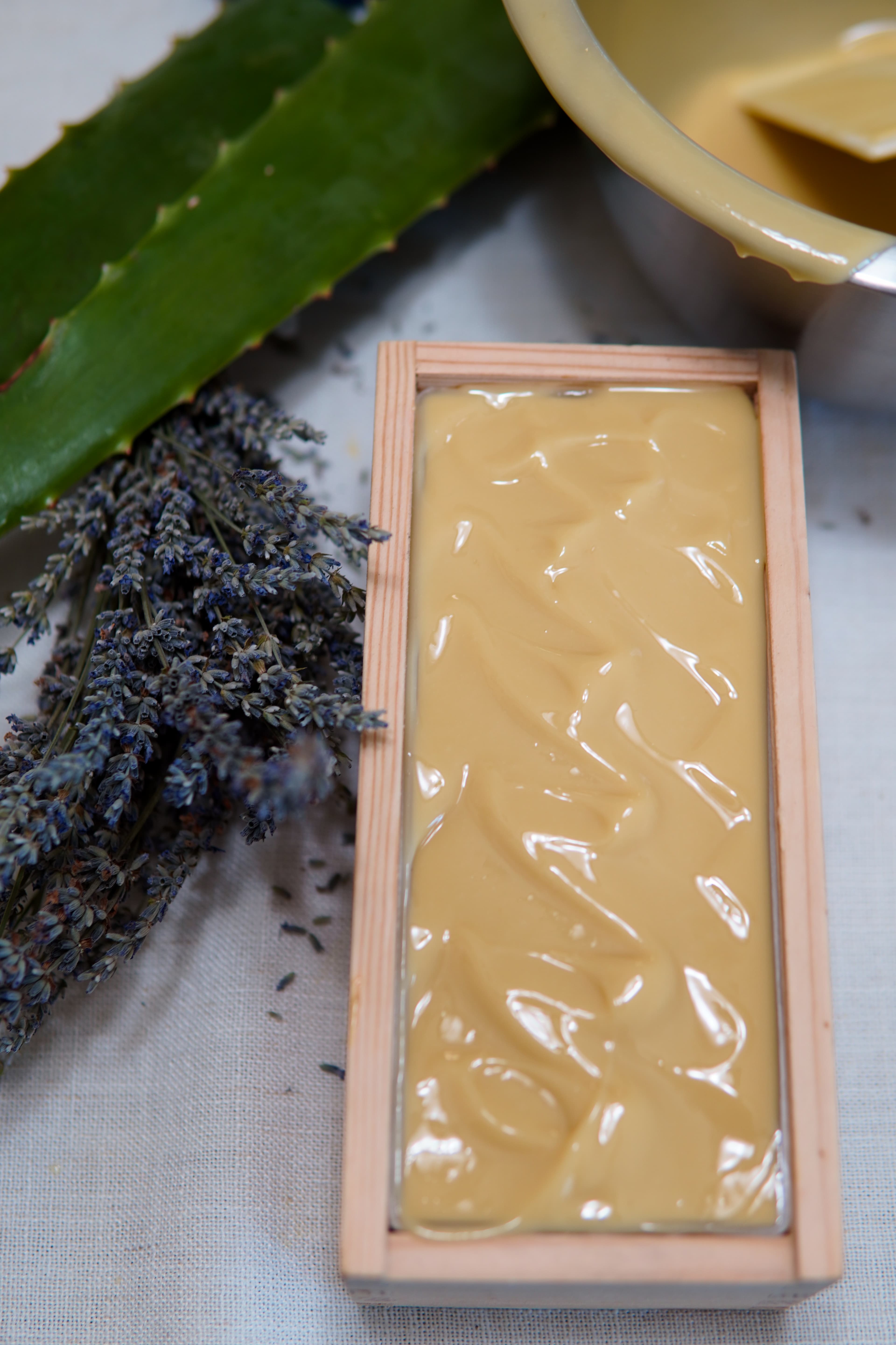 The Aloe Vera Restorative Bundle